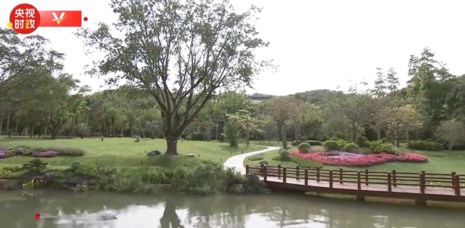 松園的綠覆蓋率高達80%，令旅客心曠神怡。（圖截自央視時政）