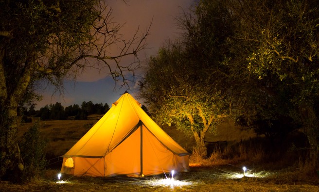 日本一名网友入住曾传闹鬼的露营地，当晚睡觉时帐篷竟出现诡异晃动，隔天起床才知是有熊出没。(示意图/达志影像)