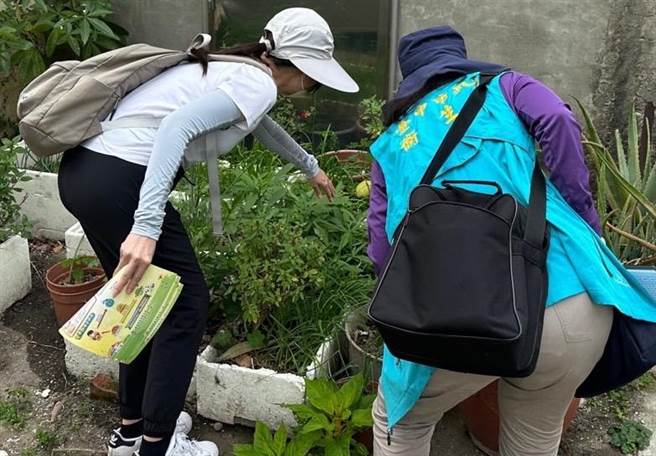 中市新增1例境外移入登革热，呼吁民眾落实清除孳生源（示意图，非此次登革热发现地点）。（台中市政府提供／冯惠宜台中传真）