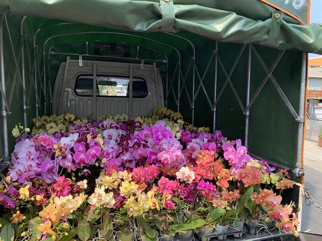 夫婦倆迄今捐了約6萬株蘭花，累積為家扶義賣募款到超過100萬元的助學金。（吳宜菁提供／張毓翎台南傳真）