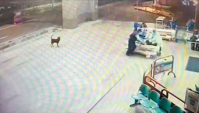 台南槍擊丟包慘死案，家屬在招魂時不順利，後來由摯友表示「答應為其處理『事情』」，才完成招魂。（中時資料照）