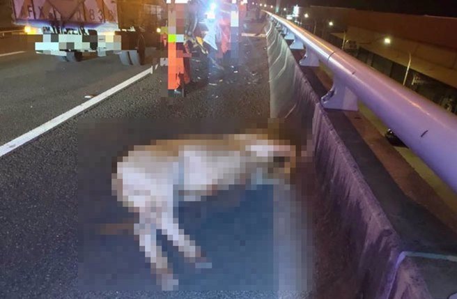 轿车国8撞「小黄牛」再波及宾士车，挡风玻璃碎裂车头毁。（读者提供／张毓翎台南传真）