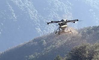 無人機播種能高越嶺古道崩塌地 科技造林無死角