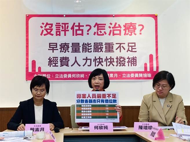 民進黨立委何欣純、陳素月、陳培瑜11日指出，針對發展遲緩兒童早療資源嚴重不足、兒童排不到聯合評估的現況，她們呼籲政府積極研議，盡速撥補相關預算及人力。（何欣純提供）