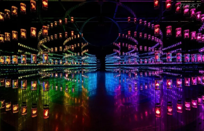 用未來的視野看生命標本的歷史，彷彿走進大腦的資料庫。（圖／Museum of the Future LLC.提供）