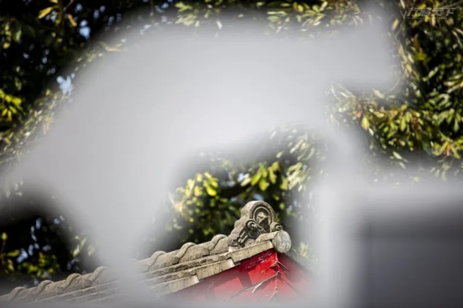 關於帶星的脊頭瓦，有一說是興建時屋脊就有星星，也有住戶說，過去只要家中有人升為將軍，就會在自家屋脊鑲上星星。（圖／行遍天下提供）