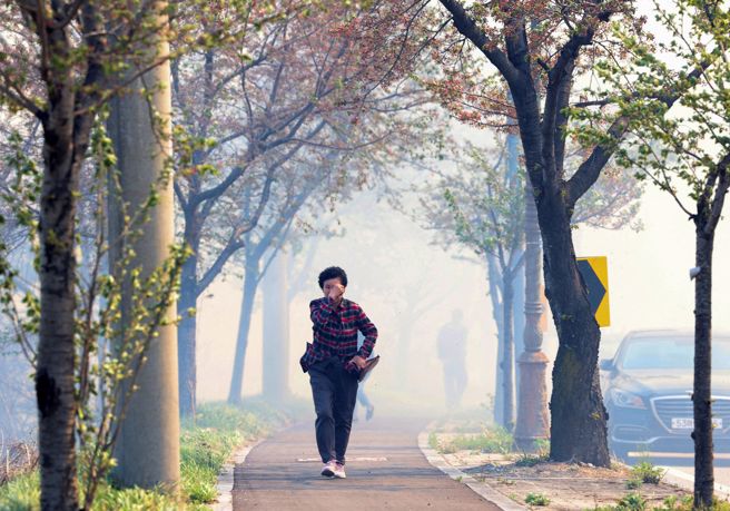南韓東部沿海江原道江陵市林地11日發生大火，煙霧迷漫中，警消協助居民撤離避險。（圖／韓聯社提供，路透社）