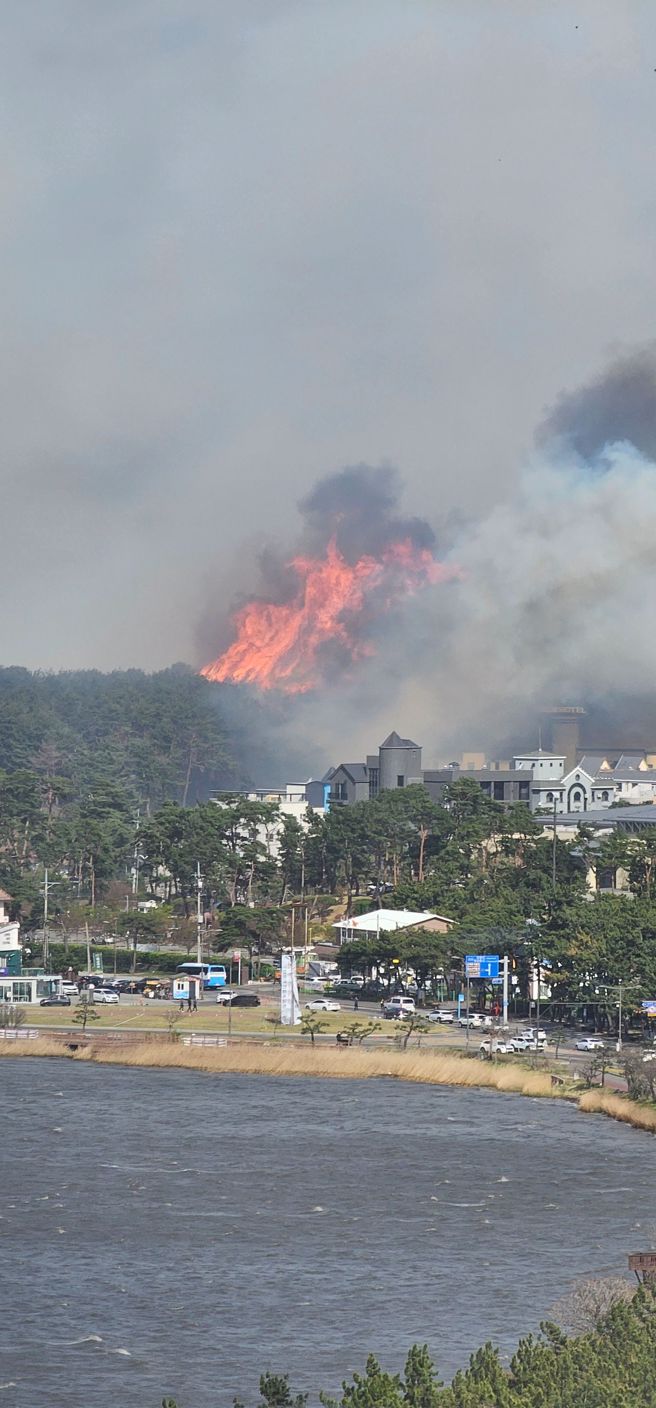 網友在推特張貼江陵市野火烈焰沖天景象。（圖／路透社）