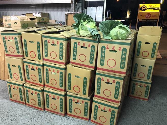 1千顆高麗菜備戰，等待民眾領取。（讀者提供／張妍溱台中傳真）