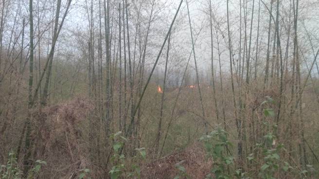 疑陆军八军团狙击枪打靶酿灾，旗山竹林大火延烧4小时仍未扑灭，原因尚待调查。(林雅惠翻摄/高雄市消防局提供)