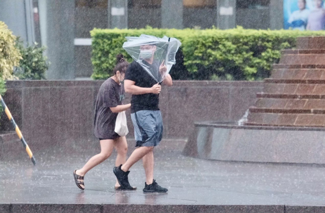 民眾关心梅雨季何时报到，但气象局长郑明典表示还要再等等。（图／示意图，记者郭吉铨摄影）