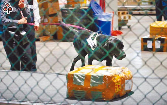 一名女子去年10月带了1.5公斤肉品入境，遭开20万罚锾。因逾期未缴，女子财产遭查扣，才连忙缴清20万元款项。（示意图／本报资料照）