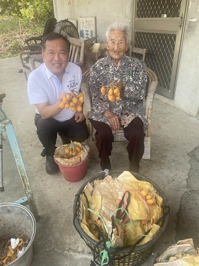 94岁果农洪阿嬷，背负巨额债务，又因不懂行销农作滞销，立委庄竞程与台中市议员曾朝荣获悉后，主动伸出援手代收购。（曾朝荣提供／冯惠宜台中传真）