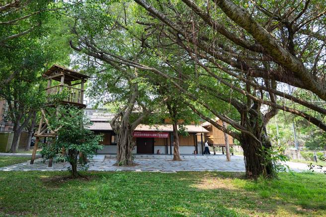 清華大學竹屋以近萬根桂竹打造而成。（清大提供／王惠慧新竹傳真）