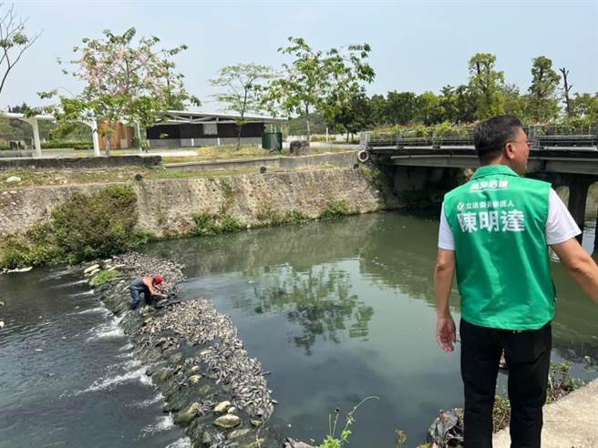 屏東縣民公園旁溪流驚見大量魚屍，懷疑久旱未雨導致。(摘自陳明達臉書)