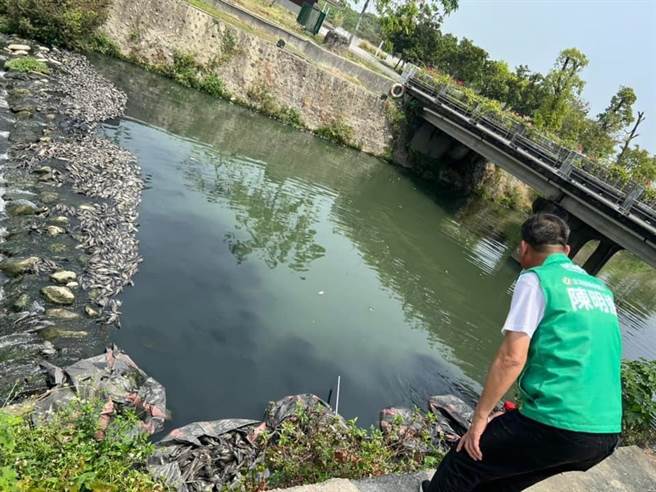 屏東縣民公園旁溪流驚見大量魚屍，懷疑久旱未雨導致。(摘自陳明達臉書)