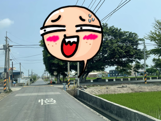 彰化县和美镇一处道路被民眾发现有2棵枝叶茂盛的大树「融合」后，外观乍看就像是一只巨鸡，鸡头与尾羽的外型几乎是等比例放大。（翻摄自脸书「路上观察学院」）