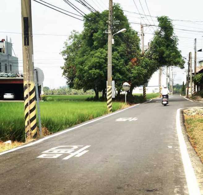 也有不少网友分享台湾各地有趣造型的路树，有花椰菜、小狗等造型相当吸睛。（翻摄自脸书「路上观察学院」）