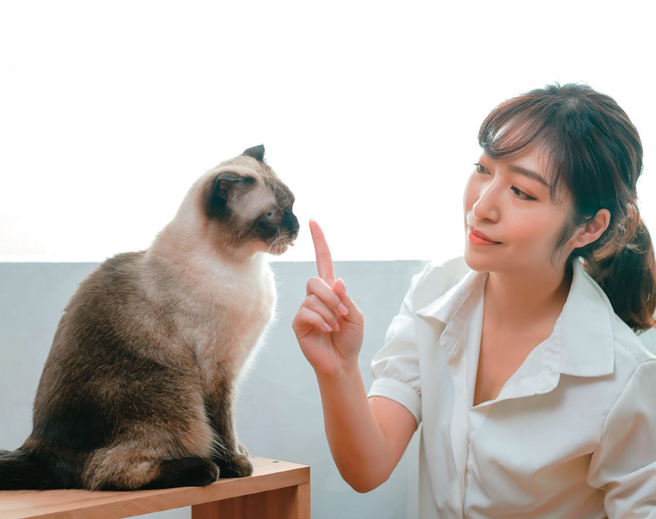 透过毛孩的眼光看世界，你可能会有大发现。（图／单熙汝）