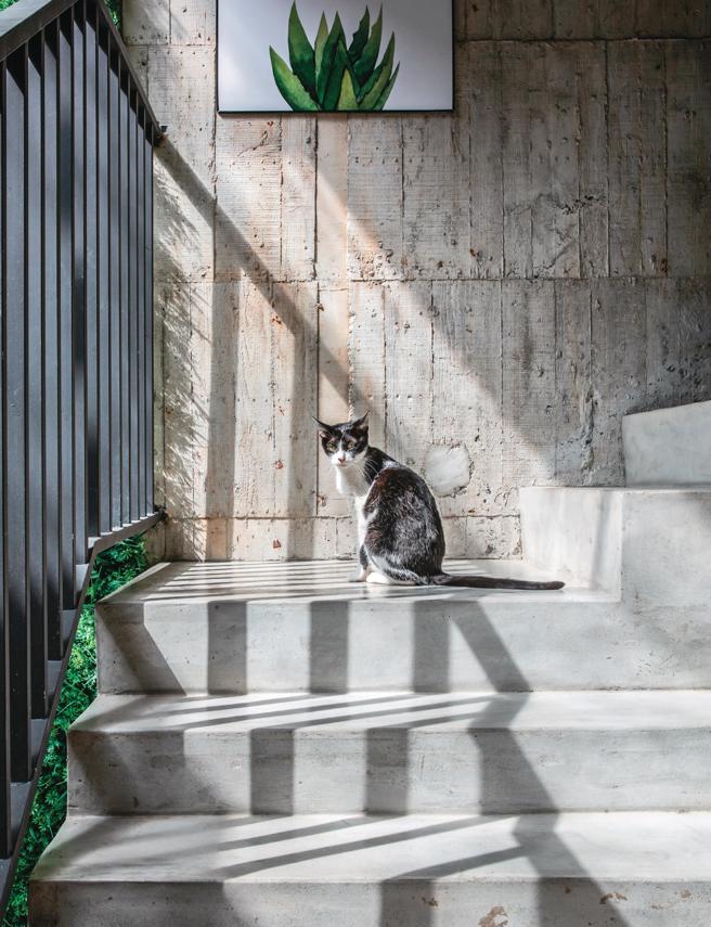 当生活有了毛茸茸的成员，越是了解对方的需求和彼此的不同，越能与毛孩共创和谐有爱的幸福生活。（摄影／郑祺耀）