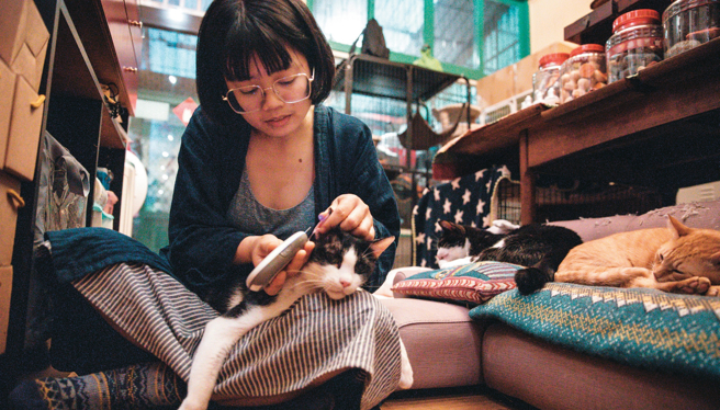 猫婆婆帮长期照护的猫喂药、量血糖，在她的坚持下猫咪逐渐恢復健康。（摄影／邹保祥）