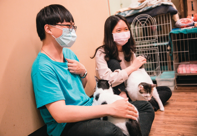 认养毛孩除了需要一定的经济条件，心态上的调适和准备也是非常重要的一环。（摄影／邹保祥）