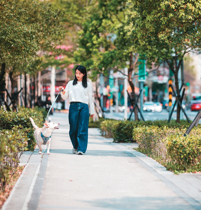 让我们带着毛孩，在城市里自由探索，收集情感升温的时刻，映照名为爱的生活光谱。（摄影／邹保祥）