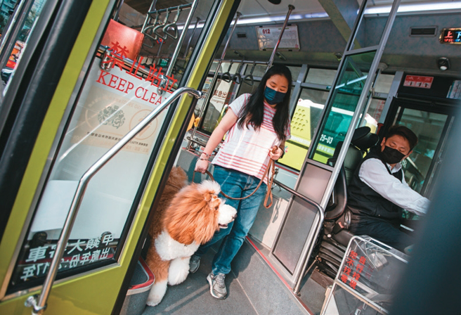 谨记先让一般乘客下车，再稳定牵起毛孩下车。（摄影／邹保祥）