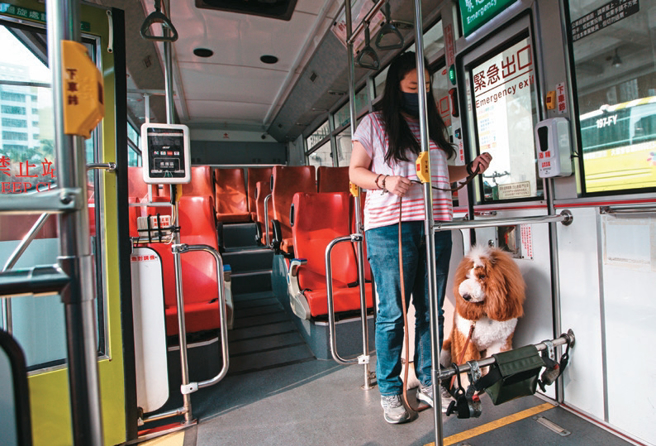如果是站位，以紧急出口旁的位置优先，可有效阻隔乘车环境对毛孩的干扰，进而影响其他乘客。（摄影／邹保祥）