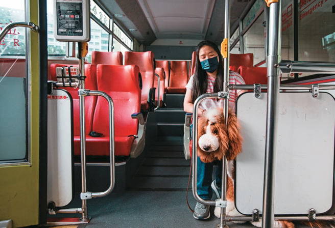 先让一般乘客上车，并以靠近门边、有檔板的座位优先入座，可避免毛孩直接接触人群或其他动物，或被乘客不当触碰。（摄影／邹保祥）