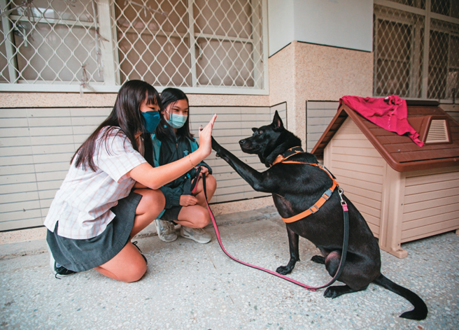 兰雅学生担任小志工与黑皮互动，成为彼此最佳伙伴。（摄影／邹保祥）
