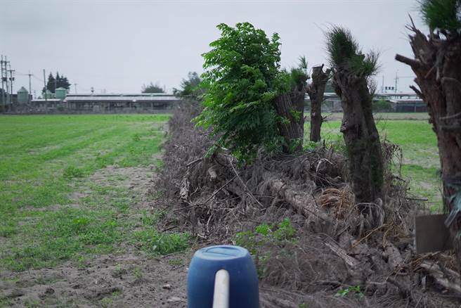 蔡舜雄说，附近鸡舍也都投入种电，为何閒置土地种电不可以。（吴建辉摄）