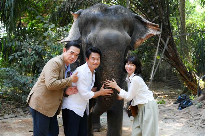 张铭杰、王振复、曾智希前往泰国拍戏，与大象近距离接触。（三立提供）