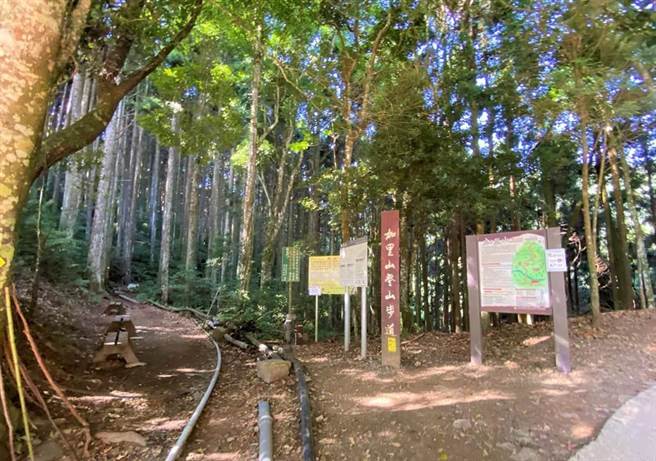 苗栗县南庄乡加里山是台湾热门登山景点。（本报资料照片）