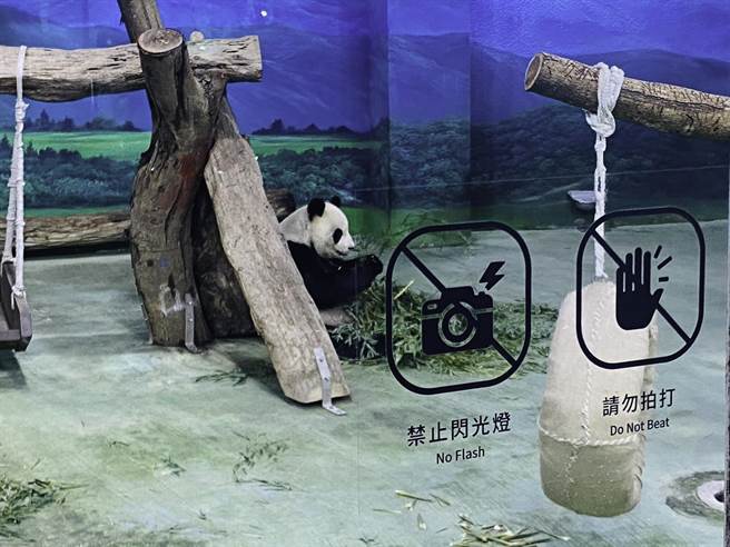 标示使用圆角矩形外框取代一般圆形的设计。（北市动物园提供）