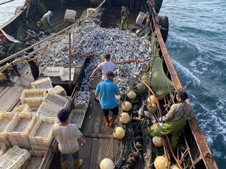陸籍鐵殼船越界捕魚押回11人 2公噸漁獲遭海拋