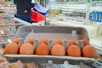 農委會專案解蛋荒 新加坡首度出口雞蛋液蛋到台灣