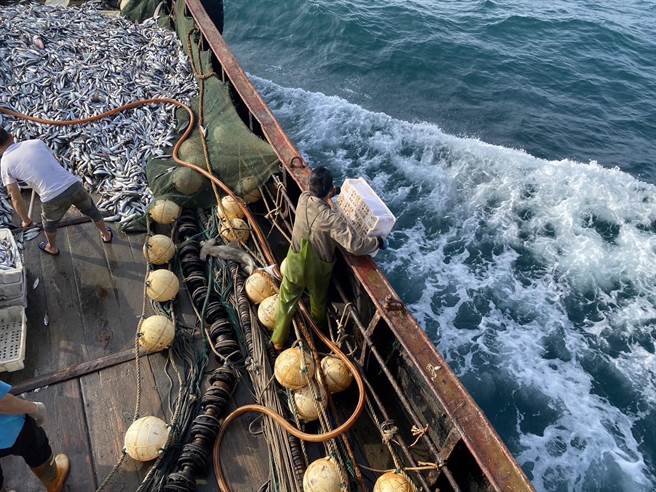 台中海巡队16日于苗栗通霄外海查获大陆渔船越界捕鱼，船上渔获约2000公斤均依法海抛。（台中海巡队提供／陈淑娥台中传真）