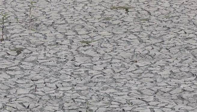 高雄半屏湖乾旱至土地龟裂。（翻摄照片／林瑞益高雄传真）