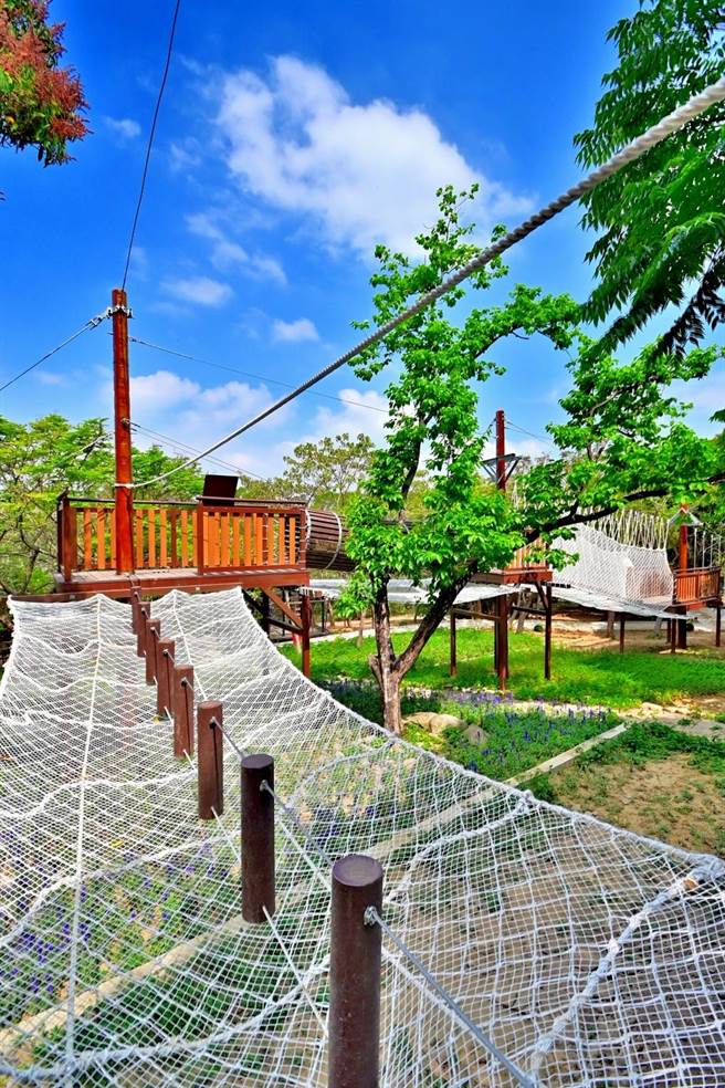 大坑1号登山步道体训场整建中，二期工程预计7月完工开放。（台中市观旅局提供／陈淑娥台中传真）