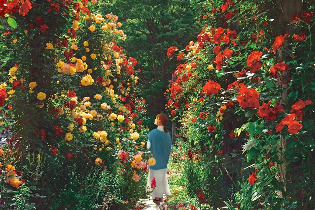 「ACAO FOREST」園內栽有約4,000株玫瑰花，每個角落都是夢幻美照地。（圖／ACAO SPA & RESORT）