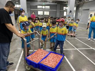 幼童參訪東港全國首座室內恆溫拍賣場 模擬拍賣櫻花蝦