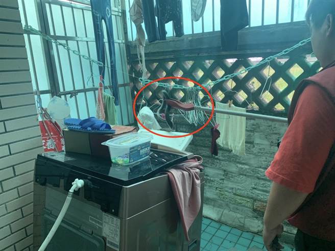 新北市树林区某民宅屋主本月14日准备洗衣服时，发现长约2米的眼镜蛇从洗衣机窜出，对眼后被吓坏，所幸通报动保处后，最终顺利补抓。（动保处提供）