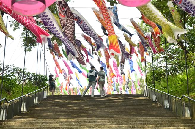 桃园神社文化园区4月18日至7月9日举办「鲤鱼流光祭」，近500面鲤鱼旗在空中飘扬。（赖佑维摄）