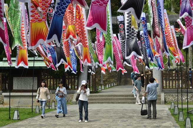 桃园神社文化园区4月18日至7月9日举办「鲤鱼流光祭」，近500面鲤鱼旗在空中飘扬。（赖佑维摄）
