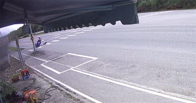 一只山羌突然从路边草丛窜出，暴衝台9线车道并与机车骑士碰撞，当场死亡。（凤林警分局提供／罗亦晽花莲传真）