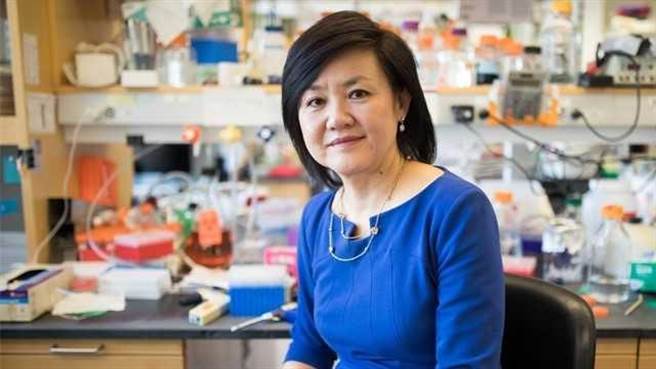 美國學界更認為蔡立慧在未來相當具有被提名諾貝爾獎的潛力。（中興大學提供／張妍溱台中傳真）