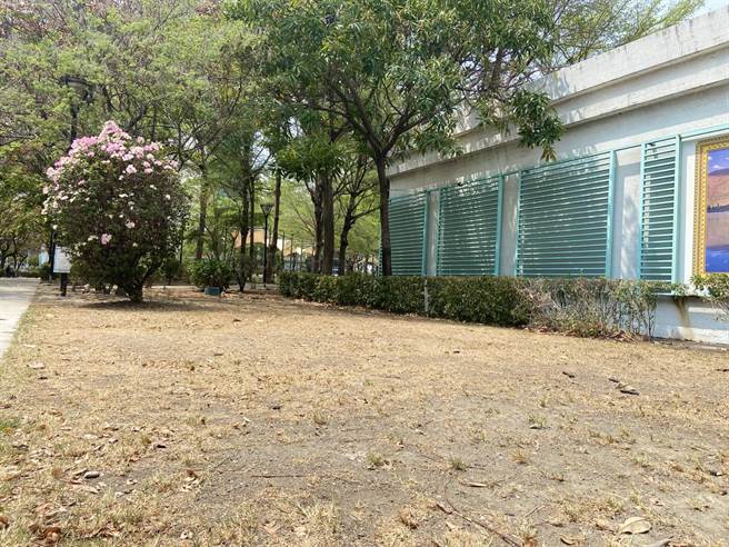 高雄市一名清潔員在清掃環境時不慎踩進樹洞裡，造成左腳踝骨折。（示意圖／楊舒婷攝）