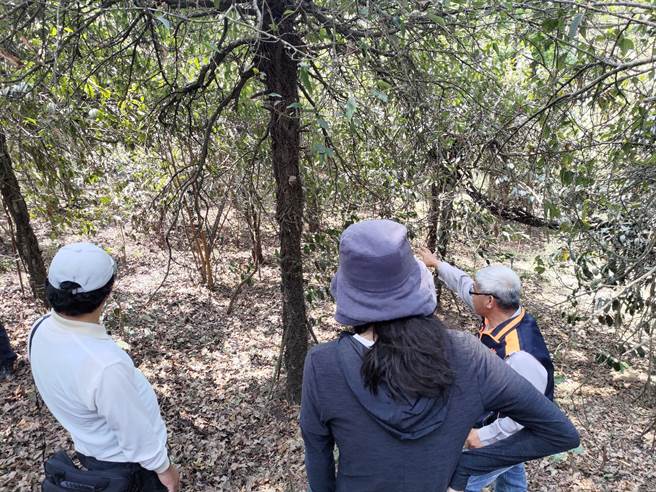 邀集改良场及农粮署确认灾情。（高雄市农业局提供／林雅惠传真）