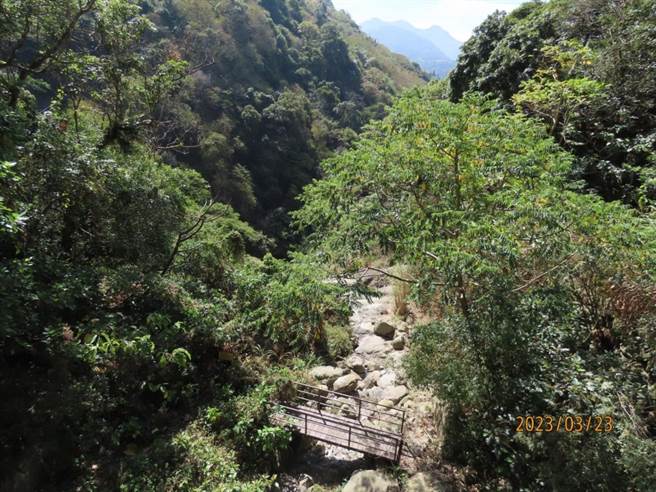 独立山吊桥封闭整修期间，林管处于吊桥下方辟临时便道供游客替代通行。（嘉义林管处提供／吕妍庭嘉义传真）